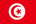 تور تونس